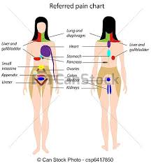 It is important that every woman has access to knowledge related to the spectrum of women's health issues, not only about her reproductive system, but about all aspects of. Appendix Stock Photos And Images 4 456 Appendix Pictures And Royalty Free Photography Available To Search From Thousands Of Stock Photographers
