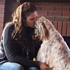 Maybe you would like to learn more about one of these? Sevenoaks English Setters