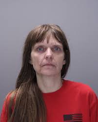 Two Stanley women arrested after drug possession traffic stop in Victor