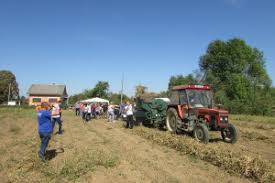 Zadruga Agronova: Naš pasulj je veoma kvalitetan i interesantan za  restorane