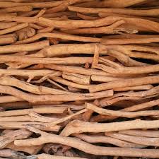 What is sandalwood essential oil? Sandalwood Essential Oil From Cathy S Attars The Unique Terroir Of India