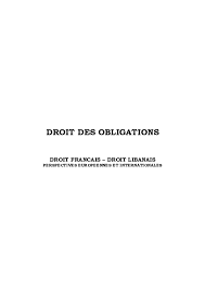 Pdf Droit Des Obligations Droit Francais Droit Libanais Perspectives Europeennes Et Internationales Samake Ibrahima Academia Edu