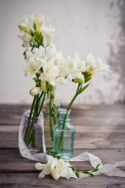 Freesia Freesia Flowers White Flowers Bottles Decoration