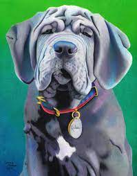 Neapolitan mastiff, neapolitan mastiff mom, neapolitan mastiff dad, neapolitan mastiff dog, neapolitan mastiffs, neapolitan mastiff puppy, i just want to hang with my neapolitan mastiff, puppy, puppies, dog, dogs, mom, dad, grab him by the ballot, grab him, grab this, grab it fastt, girly trend, where we droppin girls, thing, amrmab Neapolitan Mastiff Drawing Annie S Art Blog