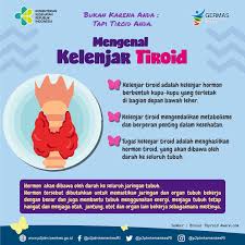 Apa Itu Kelenjar Tiroid Direktorat P2ptm