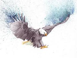 Bald Eagle Drawing Drawing Illustration Watercolor Birdart Cizim Egitimleri Cizim Kel Kartal