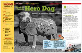 Spesielt sting som kommer ved fysisk aktivitet har man spekulert på om skyldes blodgjennomstrømmingen i ulike organer. America S Favorite Hero Dog