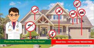 Is monthly pest control necessary? Is Pest Conrol Really Necessary Pest Control Service Indore