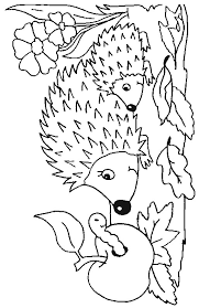 Vector line art, hand drawing. 20 Best Hedgehog Coloring Pages For Kids Updated 2018
