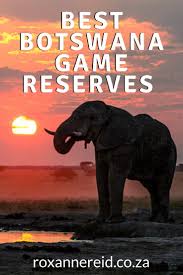 Best Botswana Game Reserves For A Wildlife Safari Roxanne Reid In 2020 Wildlife Safari Game Reserve Safari