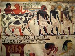 Egyptian Wall Paintings From The New Kingdom Egyptian Art Egyptian History Egyptian Artifacts