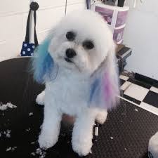 Jose Snell's Instagram, Twitter & Facebook