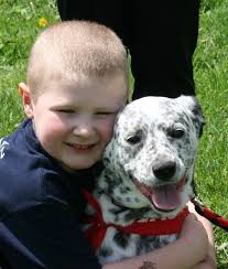 Be A Voice For Animals