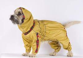 Best Dog Raincoat Ever Dog Raincoat Yellow Overall Waterproof Dog Coat Dog Rain Www Bestdograincoats Com Waterproof Dog Coats Large Dog Coats Small Dog Coats