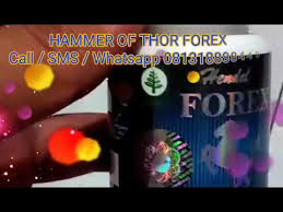 Hammer of thor tropfen kaufen hannover online drugstore that cares. How To Use Hammer Of Thor Forex Etoro Overview