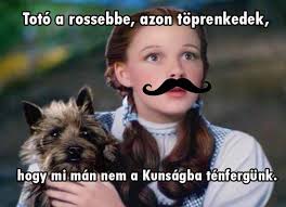 We would like to show you a description here but the site won't allow us. Image 670013 Hungaromem Hungarizalt Memek Know Your Meme