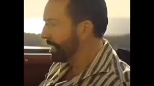 Dan Brinkmann (@dan.brinkmann)’s videos with original sound