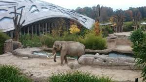 With one eye on conservation, its habitats include. Zoo Zurich Picture Of Zoo Zurich Zurich Tripadvisor