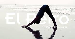 Resultado de imagen para YOGA INTEGRAL POSTURA DE LA PINZA