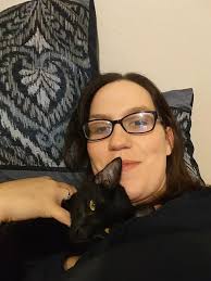 Lost Cat in Avon Park, Florida