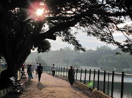 Lalbagh In Bangalore Bengaluru Bangalore City Nature Photography Trees Nature Photography