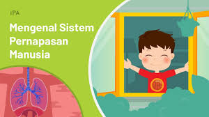 Soal Jawaban Tvri Sd Kelas 4 5 6 Selasa 4 Agustus 2020 Sistem Pernapasan Manusia