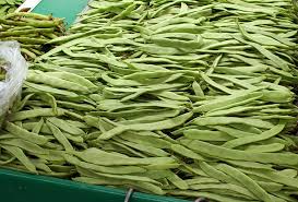 Image result for Phaseolus