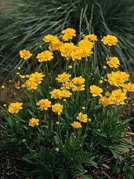 Pin On Outdoor Spaces