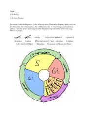 Phases of cell cycle cell cycle and its phases. Cell Cycle Practice Pdf Name Cell Biology Cell Cycle Practice Directions Label The Diagram With The Following Terms Then On The Diagram Lightly Color Course Hero