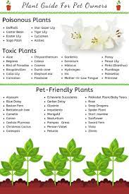 Check spelling or type a new query. 120 Inomhusvaxter Indoor Plants Ideer I 2021 Vaxter Blommor Krukvaxter