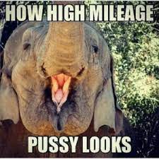 Pin On Humor