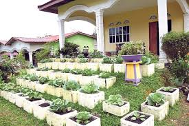 Tahukah anda, ruang berkenaan sebenarnya bisa dimanfaatkan sebagaikebun sayur belakang rumah ang sungguh cantik dan pada saat yang sama anda dapat panen hasilnya untuk dijadikan bahan masakan. Sayur Keliling Rumah Jana Pendapatan Tambahan