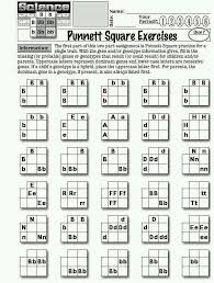 Punnett Square Worksheets For High School Biology Life Science Middle School Biology Lessons Biology Classroom