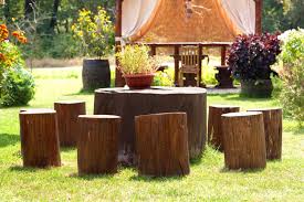 4.4 out of 5 stars 94. 25 Tree Stump Ideas For A Quirky Yard With Pictures 2020 Own The Yard