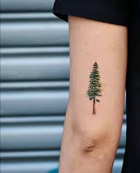 Pin On Tattoos