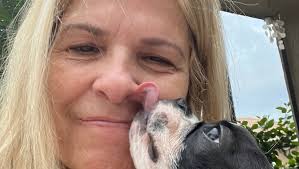 Fundraiser for Rosie Burgess Auer by kristine pothering : Rosie Needs  Rescuing