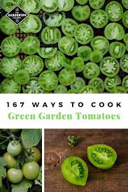 May 18, 2021 · green tomatoes: 167 Best Ways To Use Green Tomatoes Gardening Channel