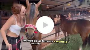 aida victoria merlano - aida victoria merlano caballo - aida victoria  merlano horse - aida victor... - Febspot