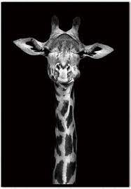 Tall And Elegant Just Like The Giraffe In This Modern Style Canvas Print This Artwork Will Add Charac Animals Black And White Giraffe Black And White Artwork