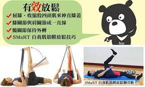 為何大腿後側常常覺得緊繃呢 另人又愛又恨的膕旁肌 新達文西物理治療所 自費醫療徒手治療運動治療 痞客邦