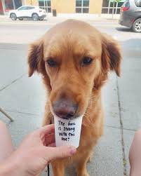 Chewbacca visits friend for May the 4th