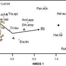 Image result for Diheteropogon amplectens