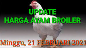 Harga telur ayam yang khususnya dari ayam ras petelur dan ayam kampung akan kami update di hargabulanini.com. Harga Ayam Broiler Hari Ini Minggu 21 Februari 2021 Youtube