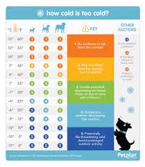 A good guideline is to monitor for signs that your dog is too cold, even if they are a breed that can handle the colder smaller dogs will also typically need a coat for a walk or playing outside. Tips To Keep Your Dog Warm On Winter Walks Ontario Spca And Humane Society