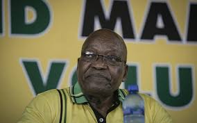 Jacob zuma, former president of south africa, has been sentenced to 15 months in prison for contempt of court. As Anc Studies Concourt S Jacob Zuma Ruling Stalwart Says It S Embarrassing