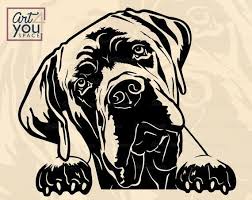 Cane Corso Svg Dog Svg File For Cricut Peeking Dog Usa Flag Etsy In 2020 Cane Corso Dog Vector Corso Dog