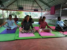 Basic yoga class and qigong studio centers empower you by helping you channel your energy more efficiently. Hot Yoga Classes In Long Island Yogawalls