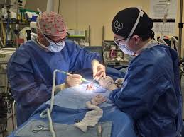 Epifania Hernandez Jara