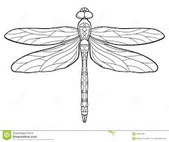 Purple Dragonfly Clipart Google Search Insetti Animali Ricamo