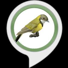 Amazon Com Sleep Sounds Forest Bird Sounds Alexa Skills Names of birds in english for kids with urdu hindi meaning birds name in tamil birds name in english with picture birds name with picture names of. amazon com sleep sounds forest bird